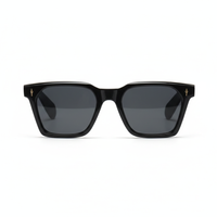 Black with Smoke Lenses