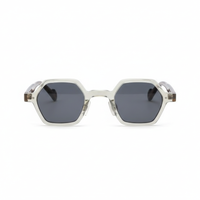 Transparent Gray with Smoke Lenses